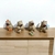 Figura Capybara X4
