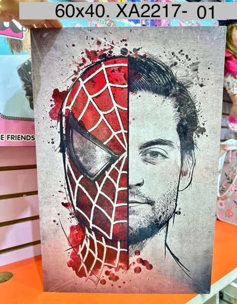 Cuadro Spiderman Mitad 60x40 2217-01 CD