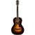 Guitarra Electroacústica Fender Paramount PM-2 Deluxe Parlor en internet