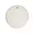 Parche Remo Asia Ambassador Coated 8''