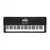 Teclado Casio CT-X800 Negro