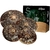 Set Platillos Zildjian S Dark