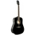 Guitarra Acústica SX SD104 Dreadnought Black