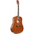 Guitarra Acústica SX SD104 Dreadnought Brown