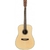 Guitarra Acústica SX SD304 Dreadnought Natural Mate