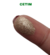 Glitter Anairana - Cetim - comprar online