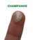 Glitter Anairana - Champanhe - comprar online