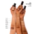 Base Líquida Média Semi-Matte – Skin Foundation - Océane Edition 35ml na internet
