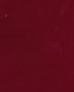 Opi Infinite Shine We The Female en internet