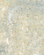 Brillo y destellos de glitter en tonos dorados y azules, ideal para uñas.
