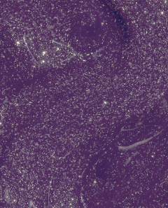 Opi Infinite Shine Wicked Head Shizstress - Aramendia Distribuidora