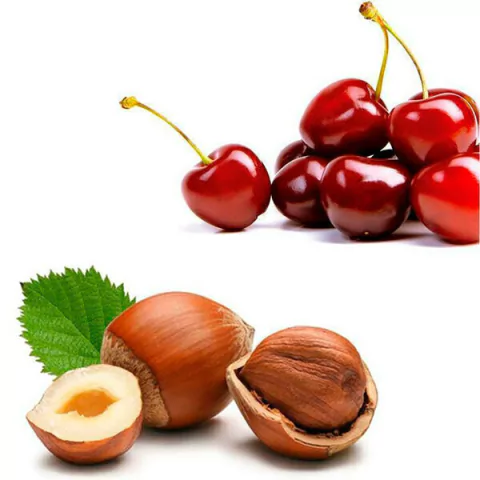 ESSENC. V. CEREJA E AVELA PARAFINA/SILICONE - 470001