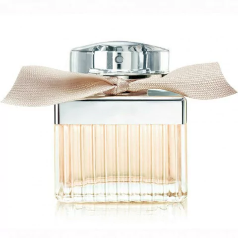 ESSENC. P CLO NOVA VERSÃO F. - 400397