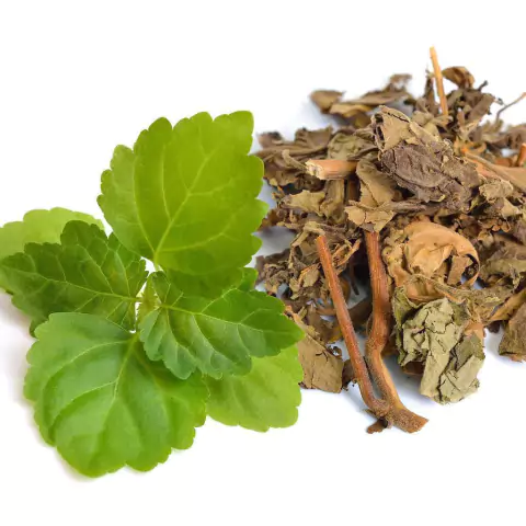 ESSÊNCIA SILVER PATCHOULY - 380041