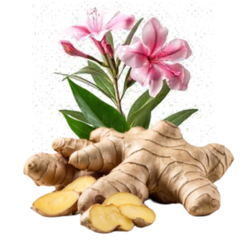 ESSENCIA SILVER GENGIBRE VERBENA - 380110 - comprar online