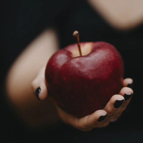 ESSENCIA VS L.TENTAÇÃO (380069) (100ML) - 380069