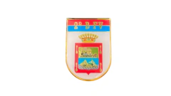 DISTINTIVO DE METAL 2 BFV