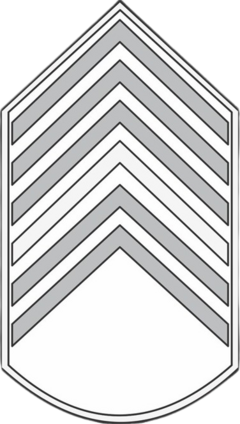 DIVISA BORDADA SAÚDE 1 SARGENTO