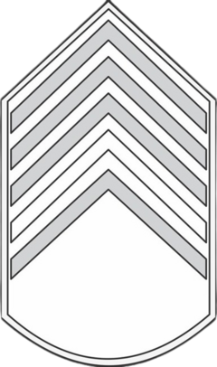 DIVISA BORDADA SAÚDE 2 SARGENTO