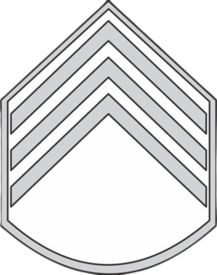 DIVISA BORDADA SAÚDE 3 SARGENTO
