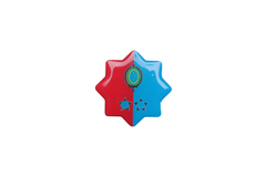DISTINTIVO PTTC 1 TENENTE