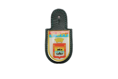 DISTINTIVO DE METAL 2 BFV