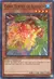 Gora Turtle of Illusion (YuGiOh) IOC-EN066