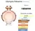 Flaconete Olympea Eau de Parfum Paco Rabanne 1,5 ml - comprar online