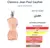 Flaconete Classique Jean Paul Gaultier Eau de Toilette 1,5 ml - comprar online