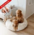 CAMA ORIGINAL COMFYBED™ - ANTI ANSIEDAD Y ESTRES - ComfyPetys - La solución para tu mascota