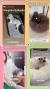 CAMA ORIGINAL COMFYBED™ - ANTI ANSIEDAD Y ESTRES - ComfyPetys - La solución para tu mascota