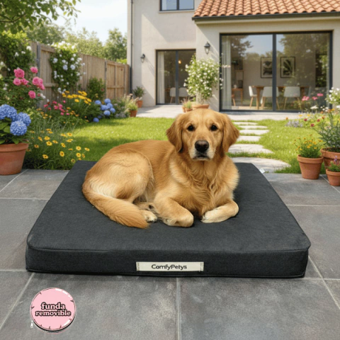 ComfyProof(TM) - La más resistente del mercado - comprar online