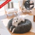 CAMA ORIGINAL COMFYBED™ - ANTI ANSIEDAD Y ESTRES en internet