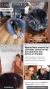 Imagen de ComfyBambu™ - Cama Relajante Anti Estrés y Fresca (Desmontable)