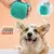 Cepillo Masajeador de Baño para Mascotas - tienda online