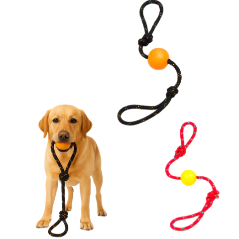 Combo Pelotas Divertidas