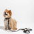 Imagen de Collar Walking Kit ( Collar - Correa ) + Portabolsas de regalo