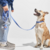 Collar Walking Kit ( Collar - Correa ) + Portabolsas de regalo - ComfyPetys - La solución para tu mascota