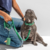 Collar Walking Kit ( Collar - Correa ) + Portabolsas de regalo - comprar online