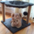 COMFYRASCAL(OUTLET)-RASCADOR MULTIFUNCIÓN - comprar online