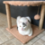 COMFYRASCAL(OUTLET)-RASCADOR MULTIFUNCIÓN