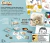 Jogo Cortex Challenge - Galapagos na internet