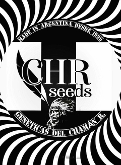 CHAMAN SEEDS X3