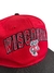 Boné Vintage Wisconsin Badgers - comprar online