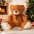 URSO DE PELÚCIA TED | SUPER