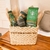 CESTA DE CAFÉ DA MANHÃ STARBUCKS PLACE - comprar online