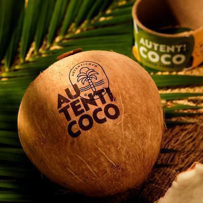 AGUÁ DE COCO NATURAL NA FRUTA | AUTENTIC 450G - comprar online