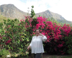 Brasil Bourbon 250 grs - (copia) - Boreal Tostadores