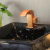 Torneira de Pia para Banheiro Cascata Rose Bica Baixa C80 - comprar online