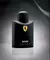 Ferrari Black - comprar online